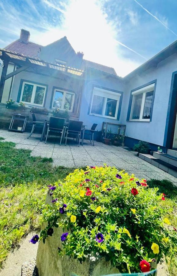 Ferienwohnung Rosenauer Purbach am Neusiedlersee Eksteriør bilde