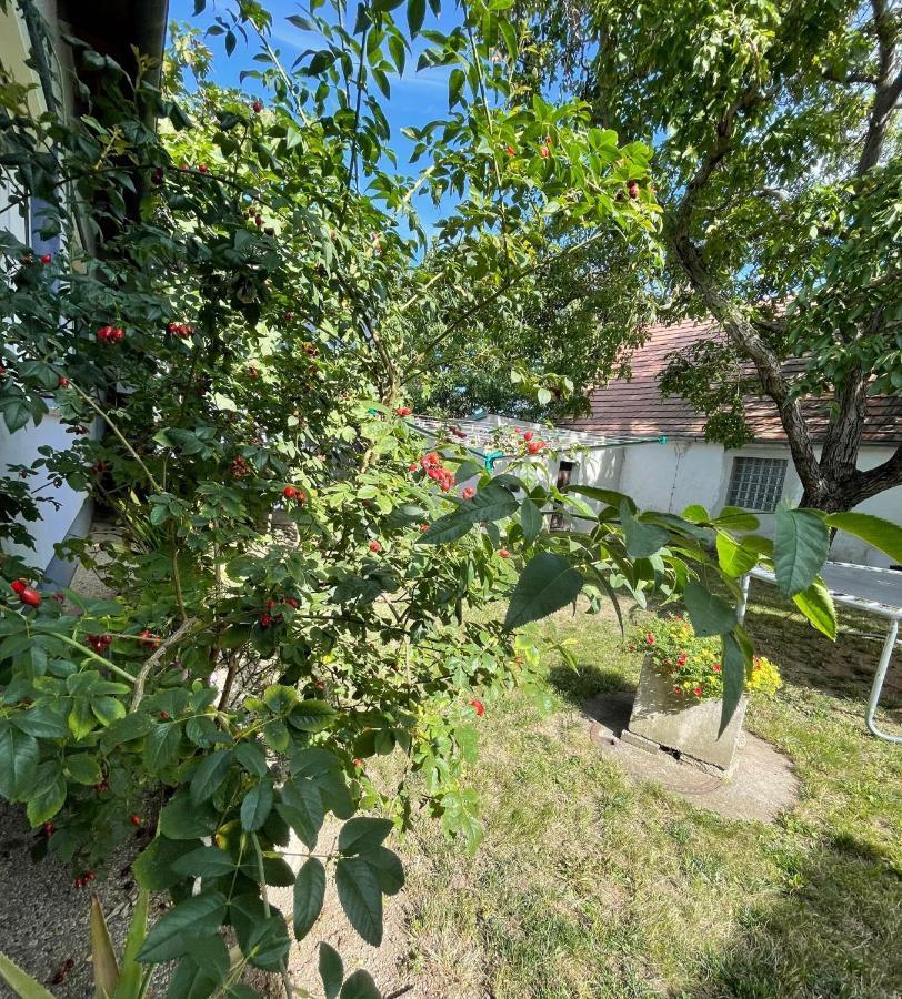 Ferienwohnung Rosenauer Purbach am Neusiedlersee Eksteriør bilde